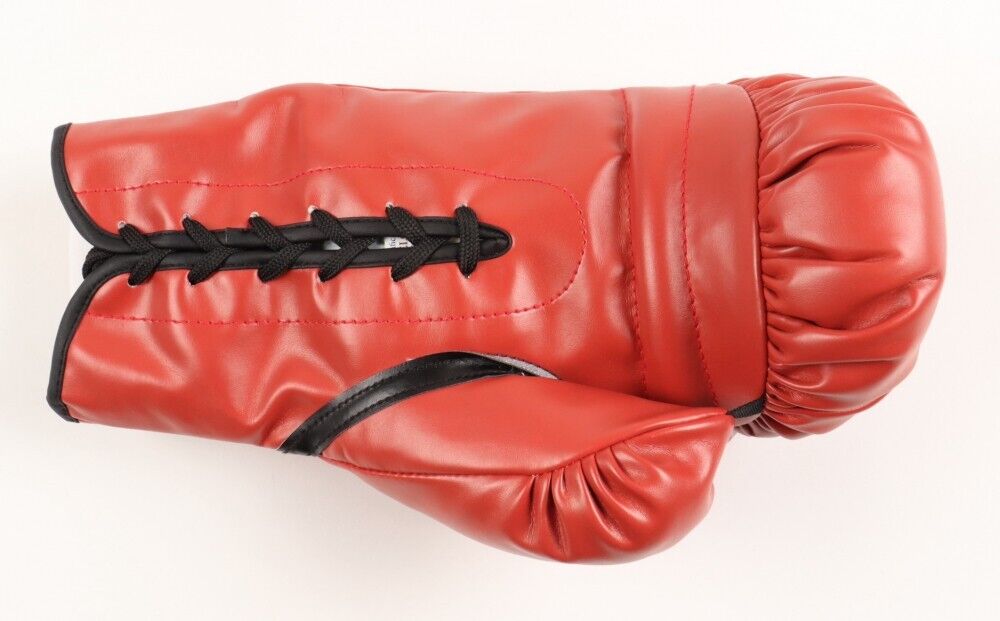 Floyd Mayweather Signed Everlast Boxing Glove (JSA COA) Champ