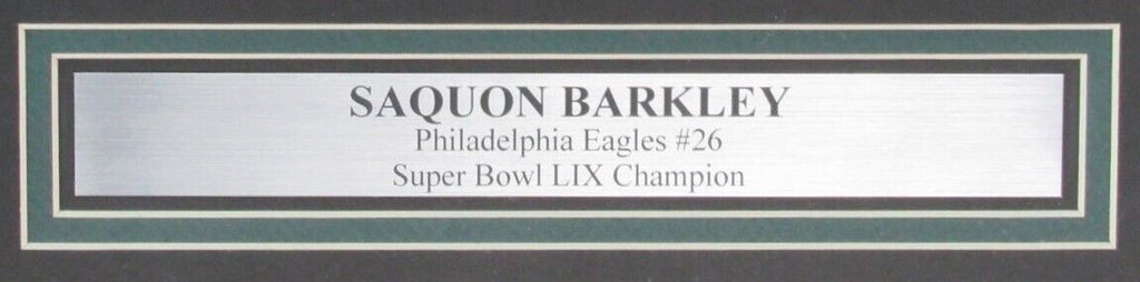 Saquon Barkley Signed/Auto 16x20 Photo Philadelphia Eagles Framed PSA ...