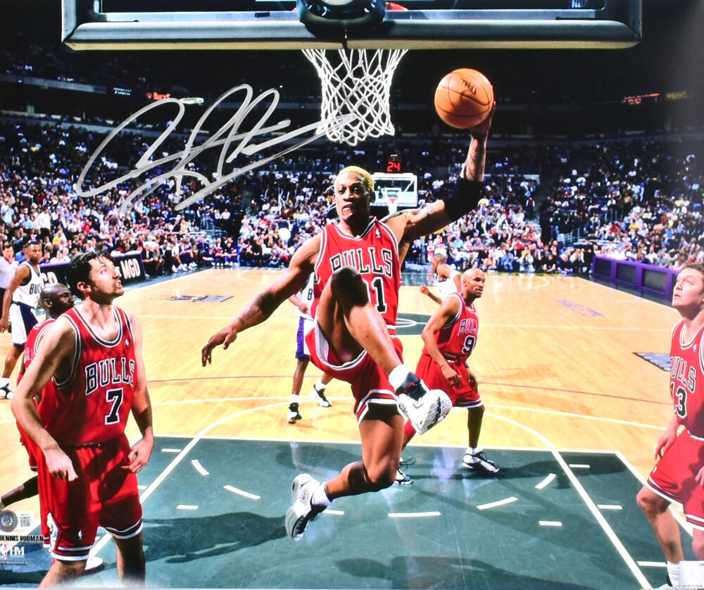 Dennis Rodman Autographed Bulls 16x20 Rebound Photo - Beckett W Hologr Super Sports Center Dennis Rodman Autographed Bulls 16x20 Rebound Photo - Beckett W Hologr Super Sports Center