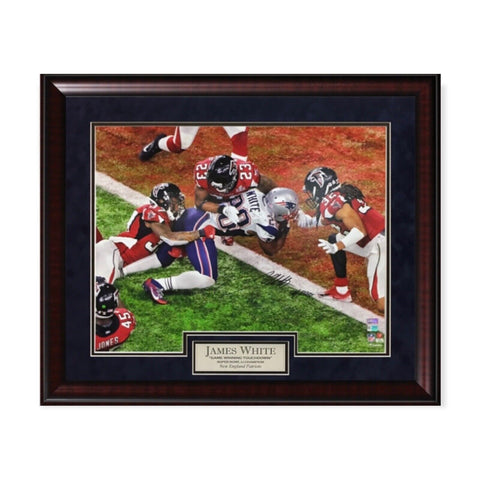 James White Signed Autographed 16x20 Photograph Framed To 20x24 Fanatics