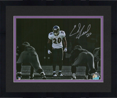 Framed Ed Reed Baltimore Ravens Autographed 11" x 14" Spotlight Photograph
