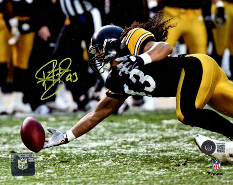 Troy Polamalu Autographed/Signed Pittsburgh Steelers 8x10 Photo BAS 34212