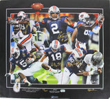 Auburn (4) Newton, Fairley Signed 24x27 Litho LE #619/3000 Fanatics #FA005355
