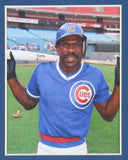 Andre Dawson Signed Chicago Cubs 30x34 Custom Framed Blue Home Jersey (JSA)