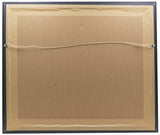 Chad Mendes Signed Framed 16x20 UFC Photo Insc. Money Fanatics