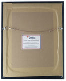 CeeDee Lamb Signed Framed 8x10 Dallas Cowboys Touchdown Photo Fanatics