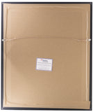 Micah Parsons Signed Framed Dallas Cowboys 16x20 Photo 2021 DLOY Fanatics