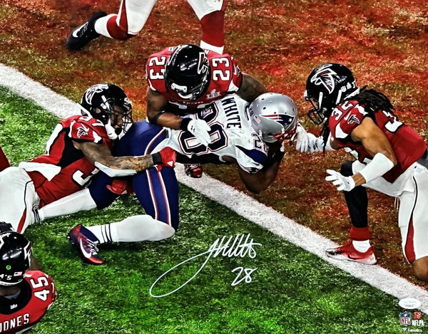 James White New England Patriots Signed Super Bowl LI GW TD 16x20 Photo JSA