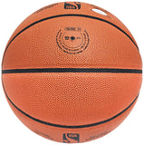 LARRY BIRD AUTOGRAPHED AUTHENTIC SERIES INDOOR/OUTDOOR BASKETBALL CELTICS JSA