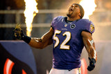 Ray Lewis Signed Baltimore Ravens Pro Cut Black Jersey (Beckett) 13xPro Bowl L.B