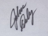 John Daly Signed Framed John Daly Logo Golf Flag 2 JSA