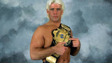 Ric Flair Signed Full Length "Nature Boy" Yellow Robe (Flair) 16xW.W.E. Champion