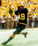 Colston Loveland Signed Michigan Wolverines Jersey /Beckett Chicago Bears Top Pk