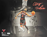Coby White Autographed Chicago Bulls Spotlight 11x14 Photo Fanatics 41069