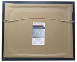 Demetrious Mighty Mouse Johnson Signed Framed 8x10 UFC Collage Photo JSA