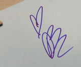 Drew Barrymore Autographed Signed 16x20 Photo PSA/DNA #T14493
