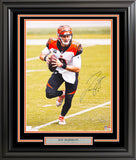 JOE BURROW AUTOGRAPHED SIGNED FRAMED 16X20 PHOTO BENGALS FANATICS HOLO 233879