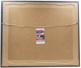 DJ Moore Signed Framed 16x20 Carolina Panthers Photo JSA