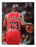 Michael Jordan Chicago Bulls Ultimate Sports Farewell Program