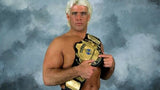 Ric Flair Signed WWE Championship Belt (JSA COA) WWE 16xWorld Champ / N.W.A. HOF