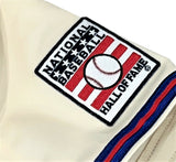 David Ortiz Boston Red Sox Signed Authentic Baseball Hall of Fame Jersey BAS