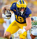 Colston Loveland Signed Michigan Wolverines 35" x 43" Framed Jersey (Beckett)