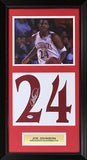 Joe Johnson Autographed Arkansas Signed Basketball Jersey Number 14x26 Frame PSA