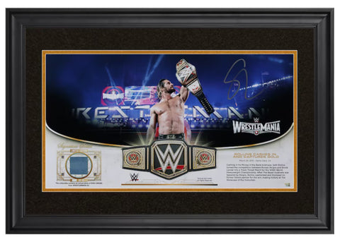 Seth Rollins Autographed WWE Match Used Canvas Framed 10" x 18" Display Fanatics