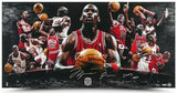 Michael Jordan Autographed "2009 HOF" Chicago Bulls 36" x 18" Photo UDA LE 123