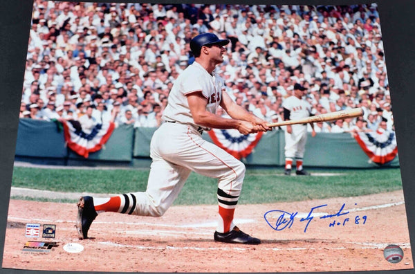 CARL YASTRZEMSKI AUTOGRAPHED SIGNED BOSTON RED SOX 16x20 PHOTO JSA W/ HOF 89