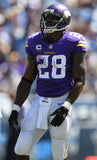 Adrian Peterson Signed Minnesota Vikings Home / Road Display Jersey (JSA) R.B.