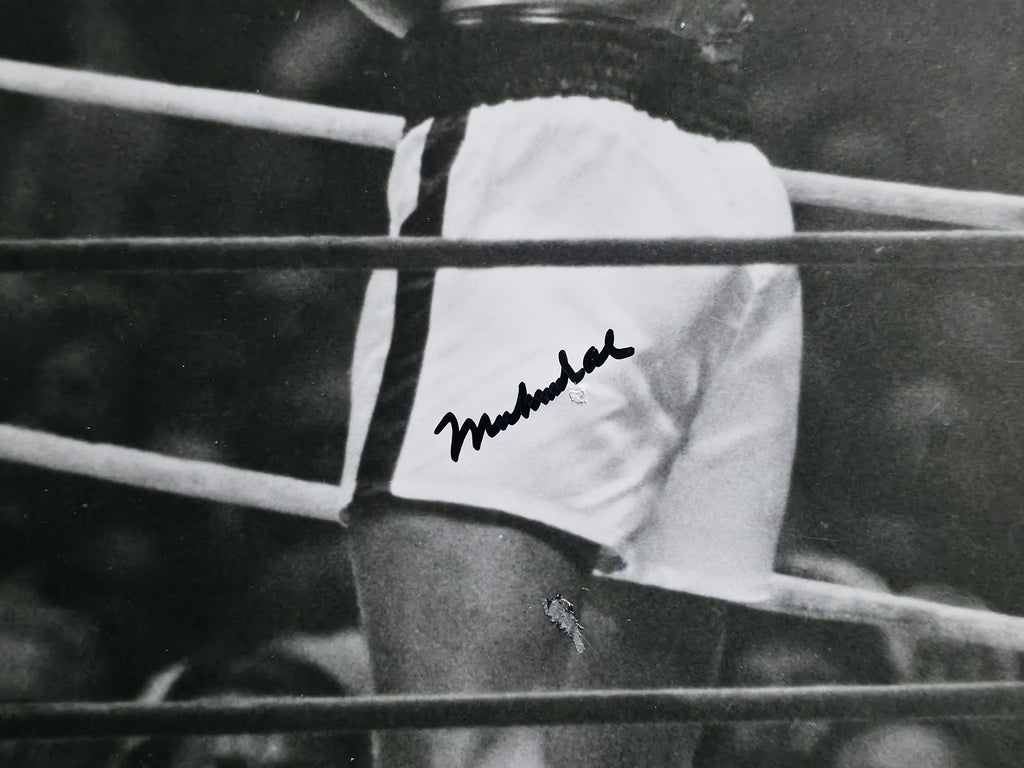 Muhammad Ali & Joe Frazier Autographed Signed Framed 16x20 Photo JSA ...