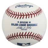 D-Backs Robby Hammock Authentic Signed OML Baseball Autographed BAS #BV01131