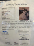 Roger Maris Autographed 61 Home Run Season - 26x17 Framed Presentation JSA LOA