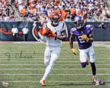 Bengals Ja'Marr Chase Signed 16x20 Horizontal Photo vs. Vikings BAS Witnessed
