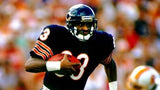 1985 Super Bowl XX Signed Chicago Bears #85 Jersey (JSA) Signed by 12 / See List