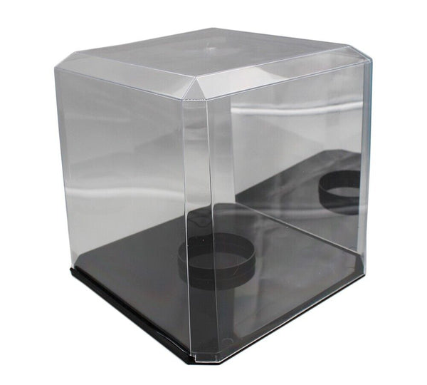 Acrylic ProTech Mirror Back Basketball Display Case