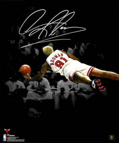 Dennis Rodman Signed Chicago Bulls Diving Spotlight 16x20 Photo - SCHWARTZ COA