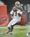Jameis Winston Signed/Autographed 16x20 Photo Buccaneers JSA 212485