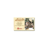 Ahmed Best Autographed Star Wars Jar Jar Binks 8x10 Close Up Photo