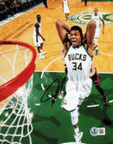 Giannis Antetokounmpo Autographed 8x10 Photo Milwaukee Bucks Beckett QR #BN67713