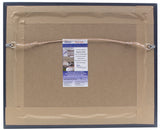 Saquon Barkley Signed Framed 8x10 Penn State Lions Color Spotlight Photo JSA