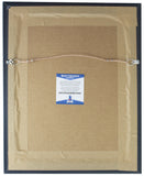 Finn Balor Signed Framed 8x10 WWE Wrestling Photo BAS