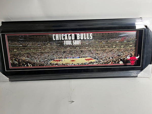 Chicago Bulls Michael Jordan Foul Shot Panoramic Lighted Framed Display