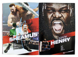 WWE Superstars (54) Rhodes, Kane, Sheamus, Mysterio Signed Official Program BAS