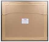 Fletcher Cox Signed Framed Philadelphia Eagles 16x20 Spotlight Photo Fanatics