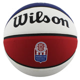 76ers Julius "Dr. J" Erving Authentic Signed ABA Basketball w/ Case BAS Wit 2