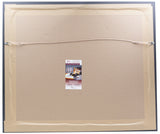 Eagles QB Legends Vick McNabb Jaworski Cunningham Signed Framed 16x20 Photo JSA