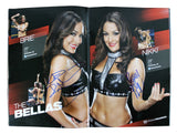 WWE Superstars (54) Rhodes, Kane, Sheamus, Mysterio Signed Official Program BAS