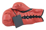 Lennox Lewis "The Lion" Signed Red Right Hand Everlast Glove W/ Case BAS Witness